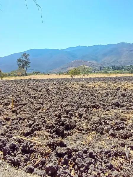 Terreno