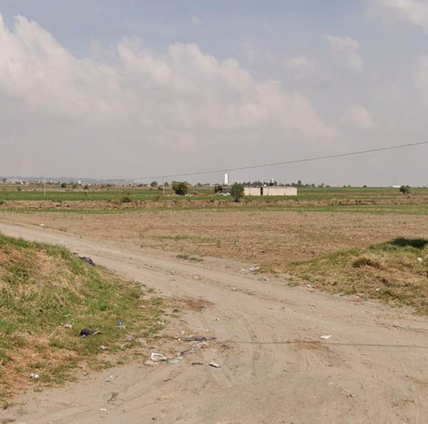 5 hectareas en calimaya