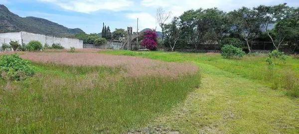 Venta Terreno - Tlayacapan morelos Venta Terreno - Tlayacapan morelos