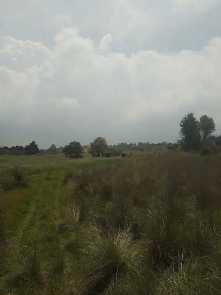 Terreno en San Miguel Topilejo Terreno en San Miguel Topilejo