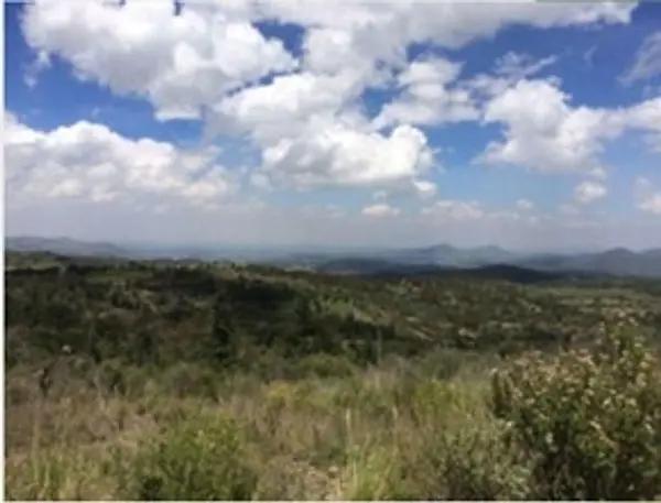 TERRENO EN VENTA EN CALPULALPAN ESTADO DE MEXICO