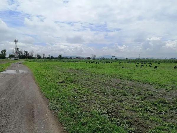TERRENO EN VENTA EN TECAMAC ESTADO DE MEXICO