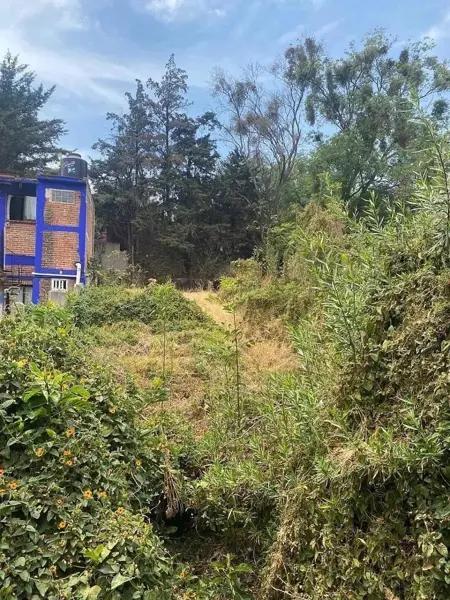 Terreno en venta en San Jerónimo Lídice