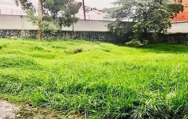 Venta terreno en Contadero