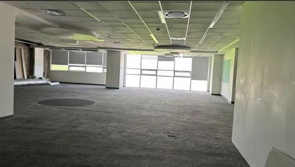 Oficinas en renta en Av. de los Insurgentes Sur Oficinas en renta en Av. de los Insurgentes Sur