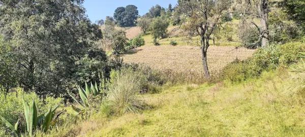 Venta de Terreno Residencial en Temoaya, Solalpan 1ra. Sección