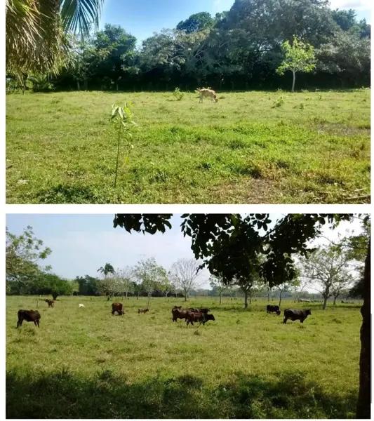 Rancho en venta cerca del Puerto de Veracruz, 15 hectareas