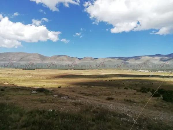 Galeana