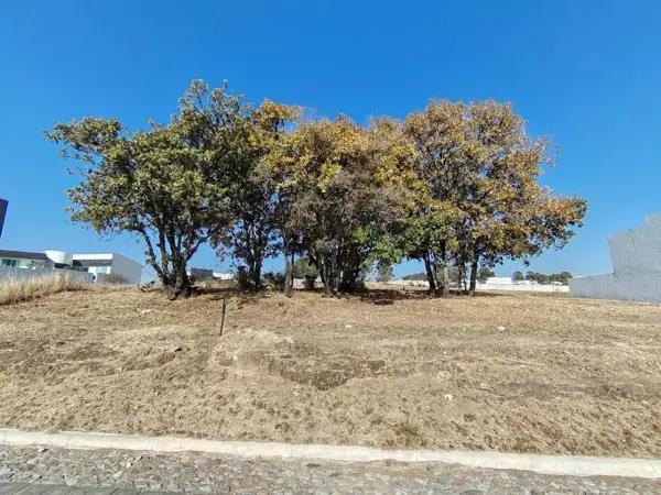 Terreno en venta en Campestre Haras, Amozoc, Puebla
