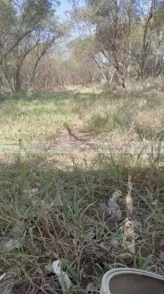 Guadalupe Guadalupe