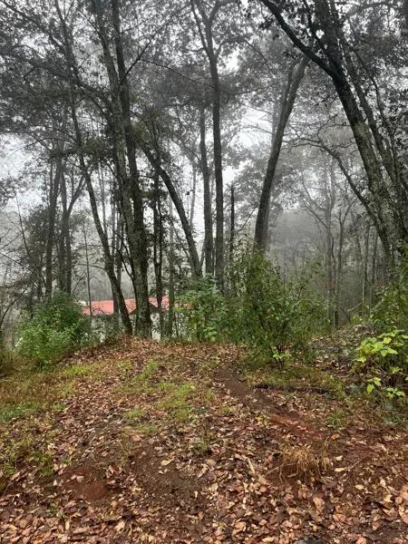 Terreno Residencial en venta Quinta Andrea, Huasca de Ocampo
