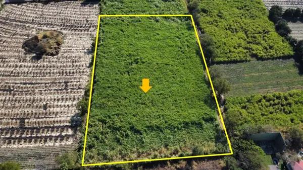 VENTA DE TERRENO EN LA CARRETERA YAUTEPEC JOJUTLA