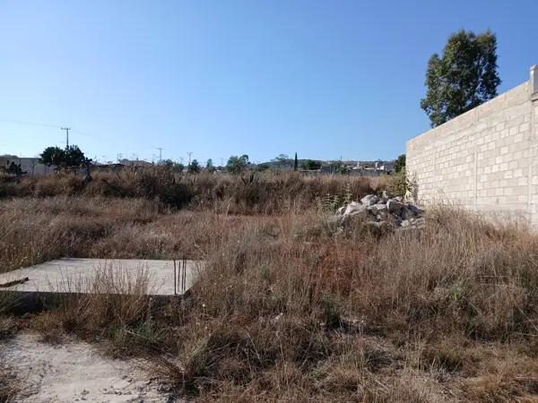 Venta de Terreno Ejidal Santa Catarina