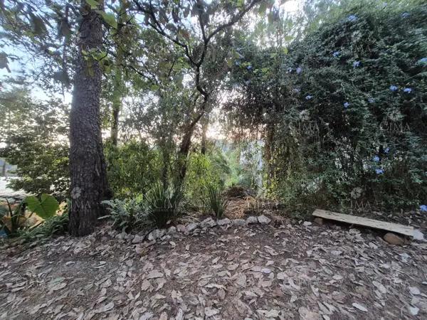Venta terreno Fraccionamiento Del Bosque, Cuernavaca - T72 Venta terreno Fraccionamiento Del Bosque, Cuernavaca - T72