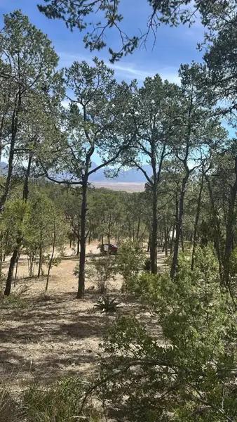 TERRENO CAMPESTRE UBICADO EN ENTRONQUE A SAN ANTONIO DE LAS ALAZANAS Y EJIDO LOS LLANOS TERRENO CAMPESTRE UBICADO EN ENTRONQUE A SAN ANTONIO DE LAS ALAZANAS Y EJIDO LOS LLANOS