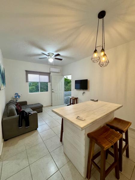 Departamento en Venta y Renta con Amenidades en Los Olivos, Playa del Carmen