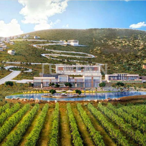 Terrenos en venta Arteaga Coahuila Terrenos en venta Arteaga Coahuila
