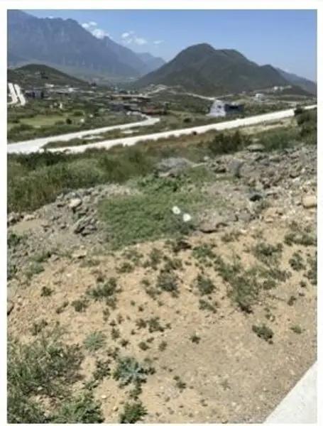 Terreno en Venta Terralta Residencial Garcia