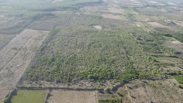 TERRENO EN VENTA MONTEMORELOS NUEVO LEON TERRENO EN VENTA MONTEMORELOS NUEVO LEON
