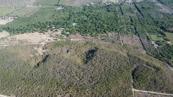 Terreno en Venta  Montemorelos Nuevo Leon