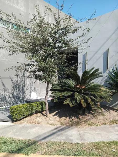 Oficina en Venta Colonia Las Torres Monterrey Nuevo Leon