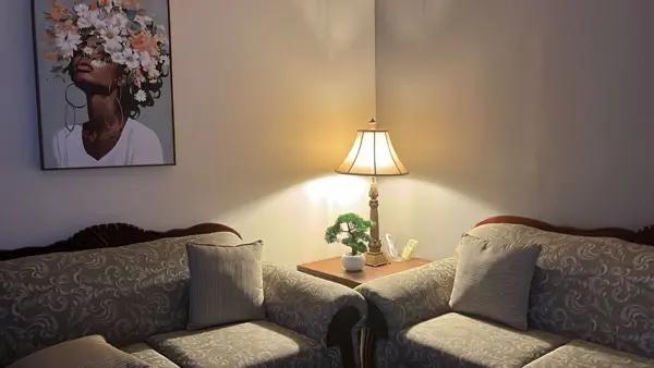 DEPARTAMENTO AMUEBLADO  EN RENTA GUADALUPE NUEVO LEON