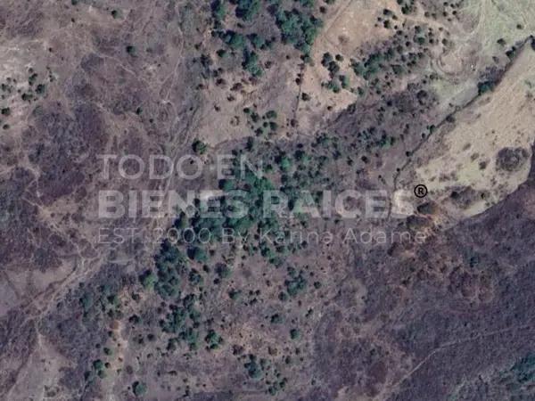 TERRENO EN VENTA EN TEMASCALTEPEC