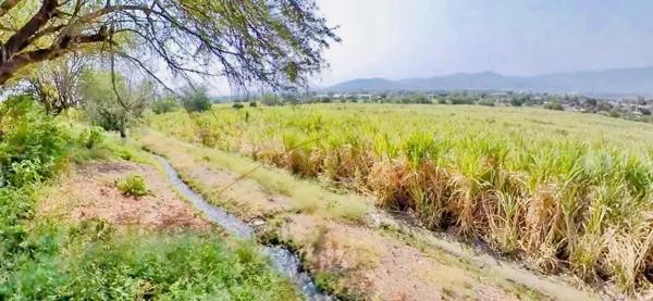 TERRENO EN VENTA EN JOJUTLA MORELOS