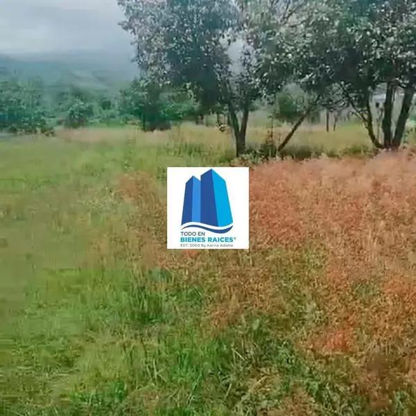 TERRENO EN VENTA TLAYACAPAN, MORELOS