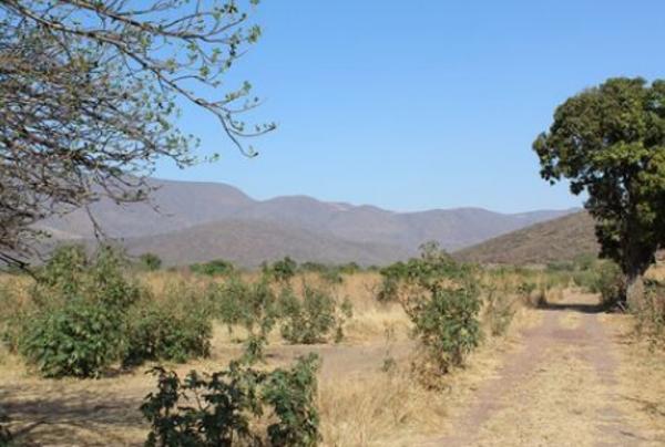 Rancho Agrícola en Zacoalco Jalisco