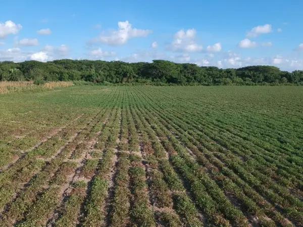 Terreno en Venta en Oaxaca