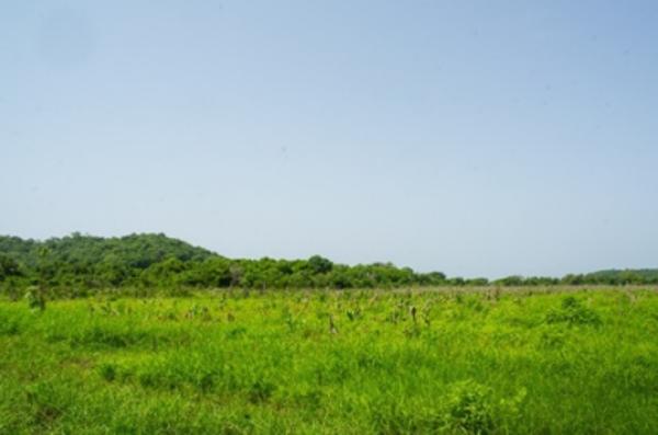 Terreno en Venta de 28 Ha en Huatulco