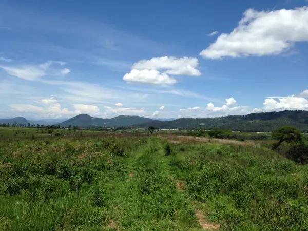 TERRENO EN VENTA EN VILLA GUERRERO