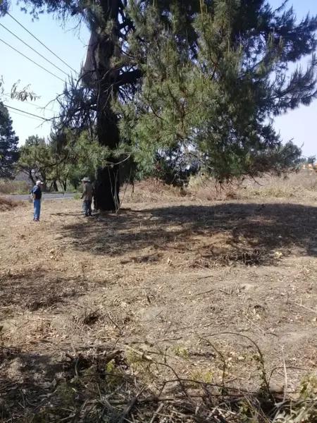 Terreno en Venta, Cuautla Morelos Terreno en Venta, Cuautla Morelos