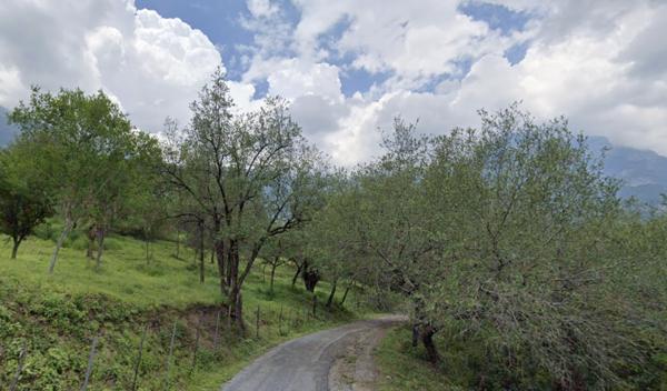 Terreno Campestre en Santiago Ideal Para Quinta Terreno Campestre en Santiago Ideal Para Quinta