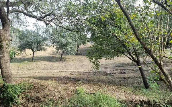 Terrenos Residenciales en Venta