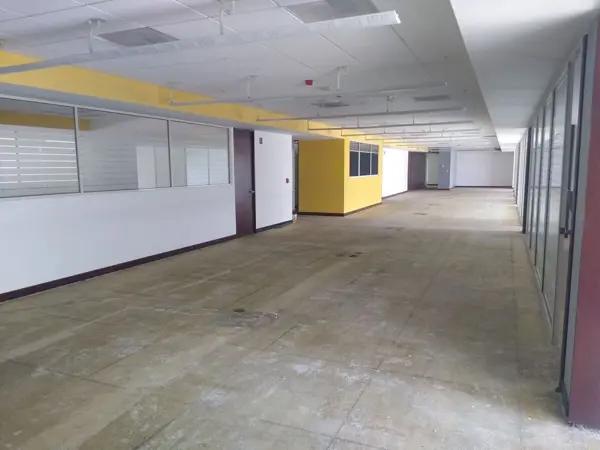Oficina en Renta en San Pedro Garza García Oficina en Renta en San Pedro Garza García