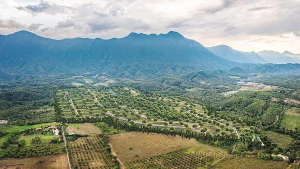 Terrenos Campestres en Venta, en Allende N.L.