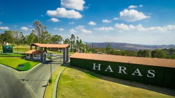 VENTA DE TERRENO EN HARAS