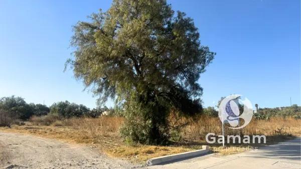 TERRENO EN VENTA | Zempoala, Hidalgo.