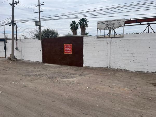 Terreno en renta en Jabonoso, Gómez Palacio, Durango