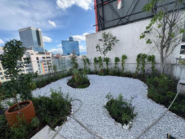 Precioso Penthouse 
Escandón 
Miguel Hidalgo