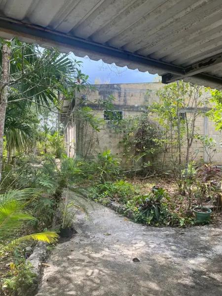 Terreno en carretera a Merida, con construcción. Ideal para ECO-HOTEL, Cuenta con cenote Terreno en carretera a Merida, con construcción. Ideal para ECO-HOTEL, Cuenta con cenote