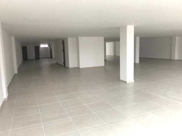 CENTRO HISTÓRICO SE RENTA OFICINA / BODEGA CENTRO HISTÓRICO SE RENTA OFICINA / BODEGA