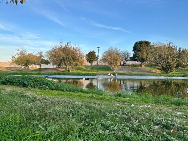 Terreno en venta en Villas del Renacimiento, Torreón, Coahuila de Zaragoza