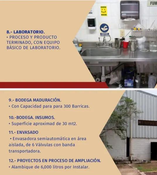 Fabrica de Tequila 
Tequila