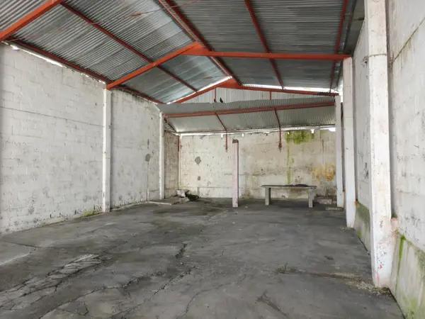 BODEGA JUAREZ CENTRO