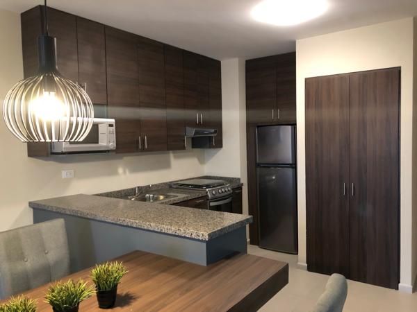 DEPARTAMENTO EN VENTA EN CENTRO DE MONTERREY DEPARTAMENTO EN VENTA EN CENTRO DE MONTERREY