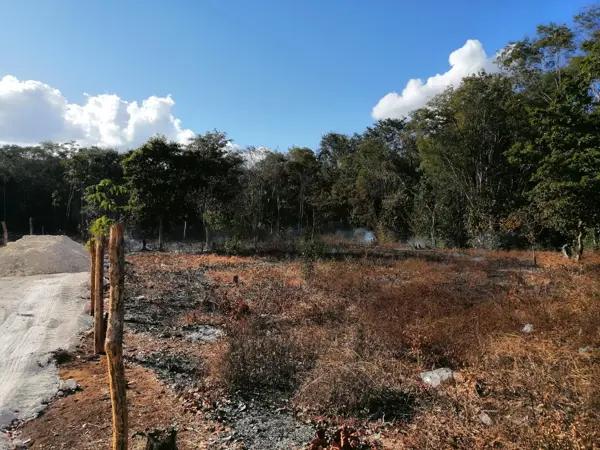 Terreno Comercial en Venta en Solferino, Lázaro Cárdenas, Quintana Roo