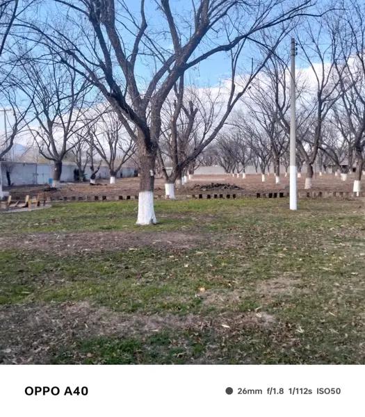Quinta en venta en Ciudad Juárez, Lerdo, Durango